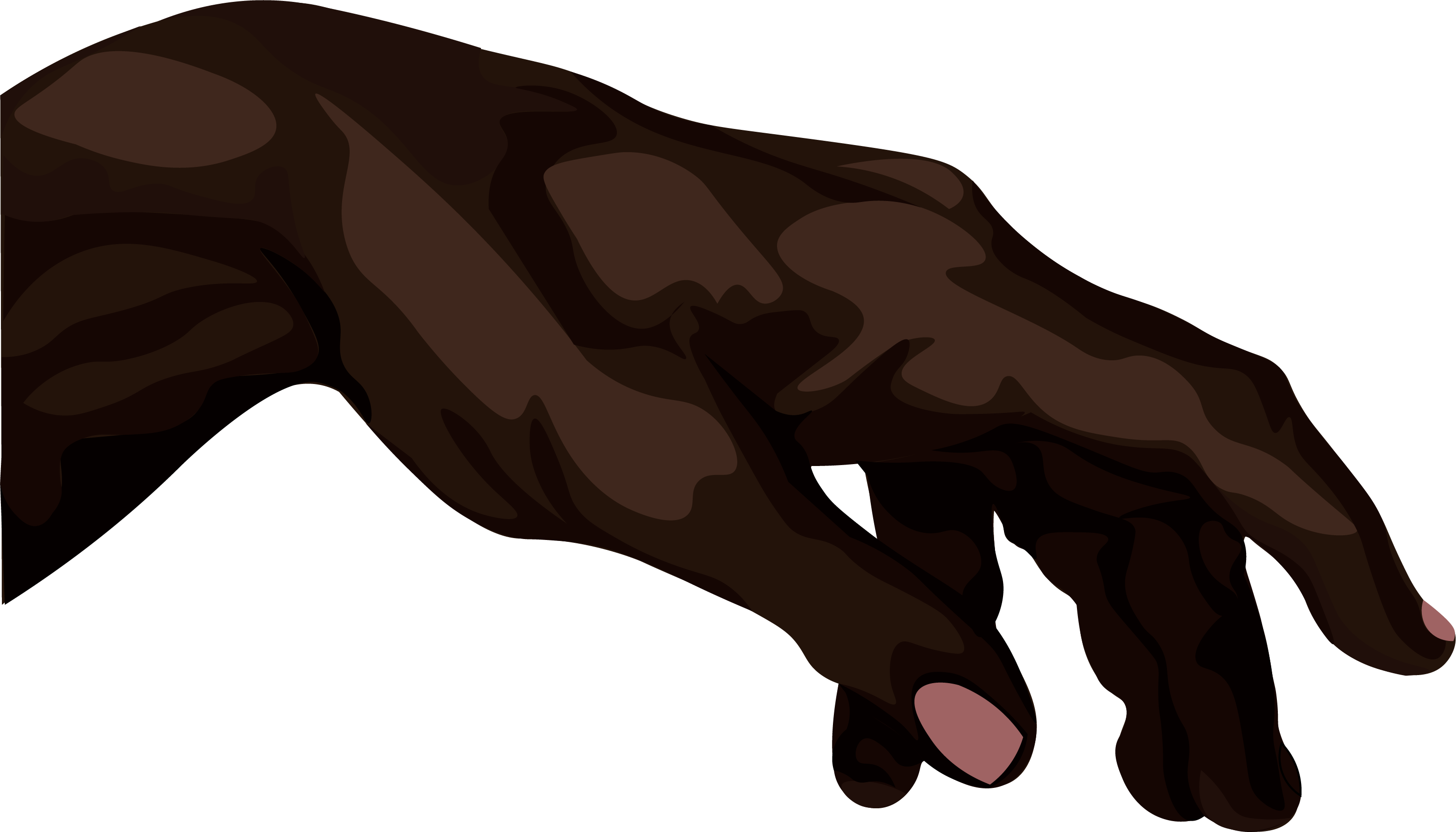 left hand image